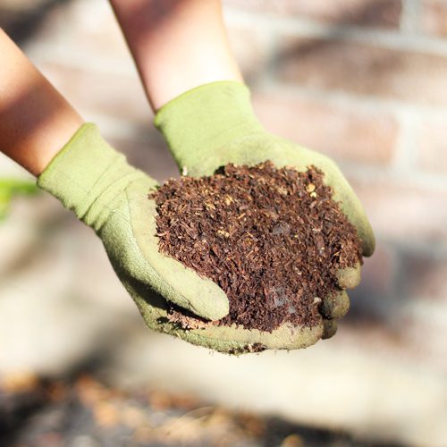 Calloway’s Premium Flowerbed Garden Soil for Winter-Themed Container Garden | Calloway's Nursery