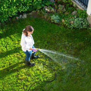 watering lawn