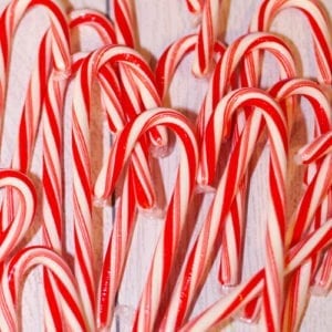 Candy Cane Container Gardens: Sweet Plant Gift Ideas | Calloway’s Nursery