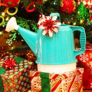 christmas gifts under $25 watering can