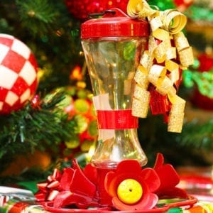 humming bird feeder