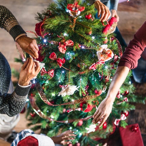 christmas tree care