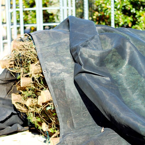 shade cover on living christmas trees