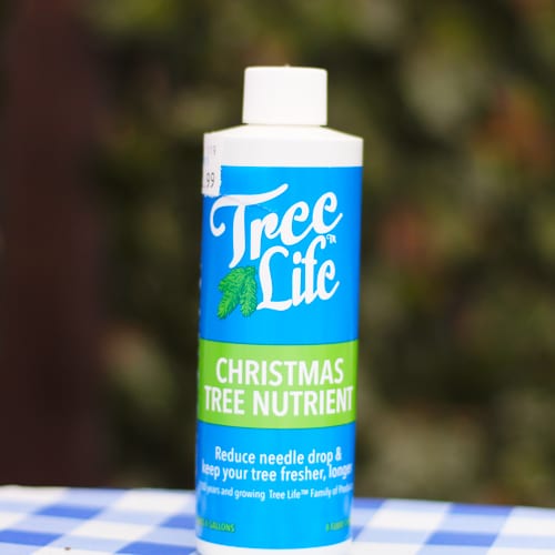 Fresh Cut Christmas Trees What To Look For When Shopping For a Quality