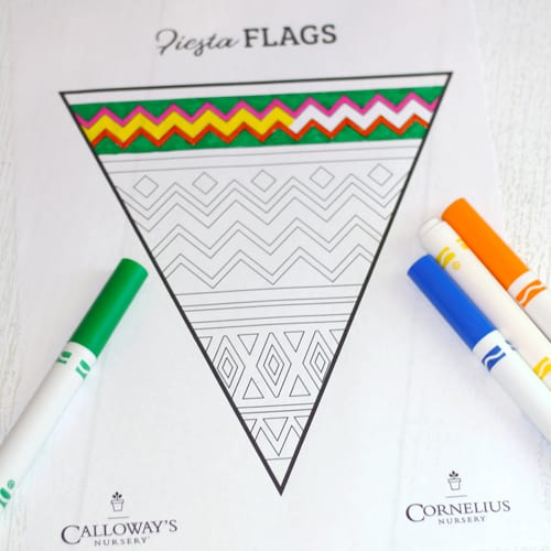 decorate flags