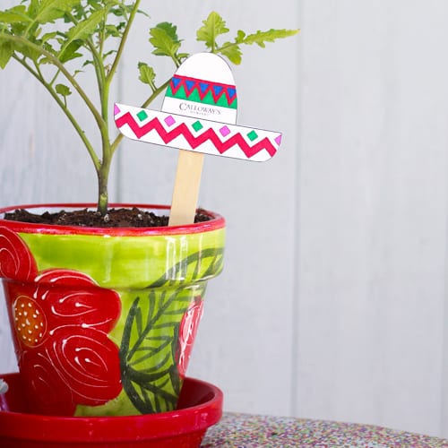 sombrero plant tag in planter