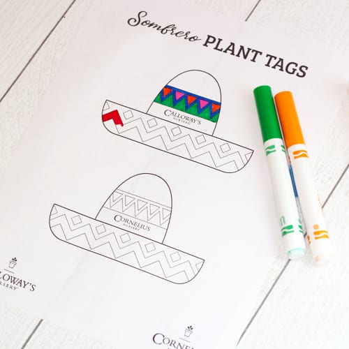 sombrero plant tags