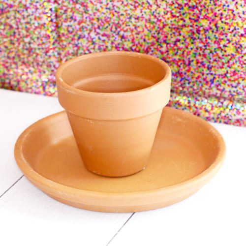 terra cotta pot and saucer