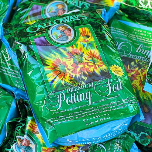 potting soil