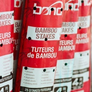 bamboo stakes