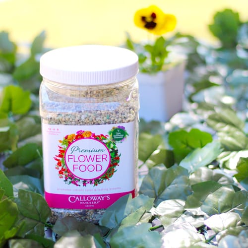 calloway's premium flower food