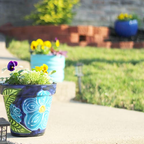 pansy container garden ideas