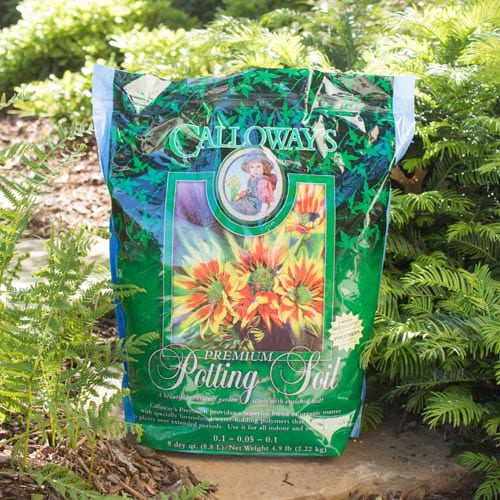 potting soil