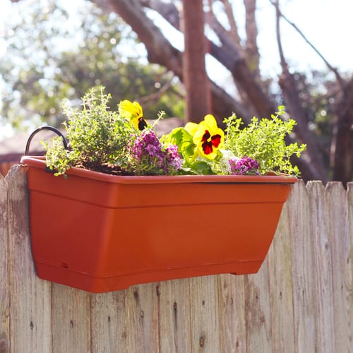planting a window box