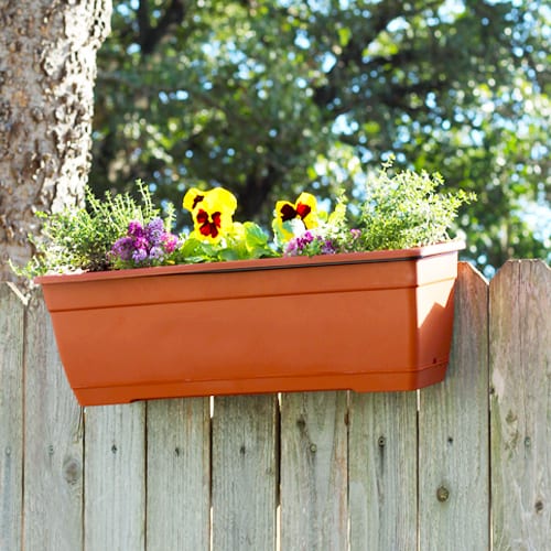 cool window box