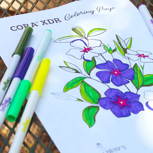 vinca - cora xdr coloring page