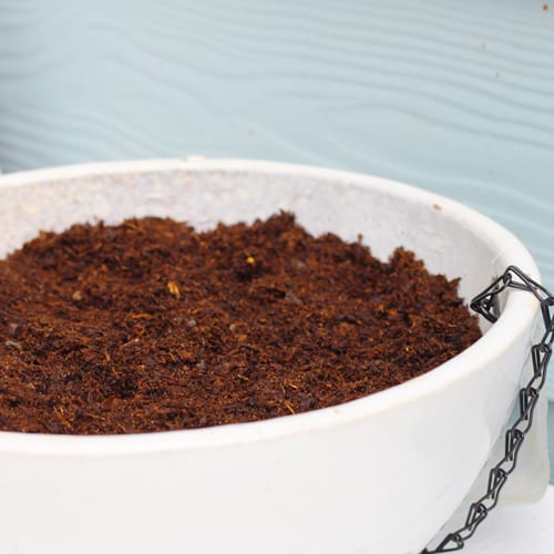 potting soil