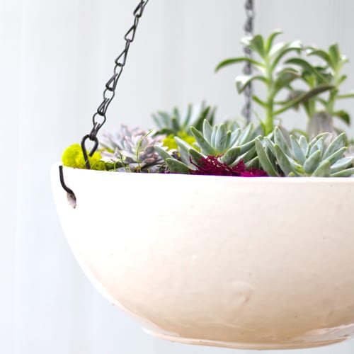 indoor hanging basket