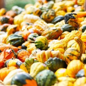 ornamental gourds