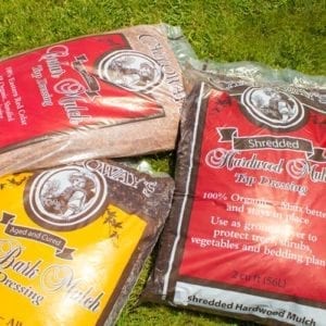 mulch