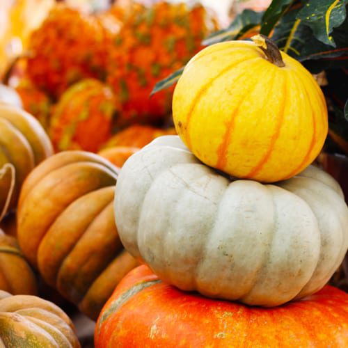 pumpkins