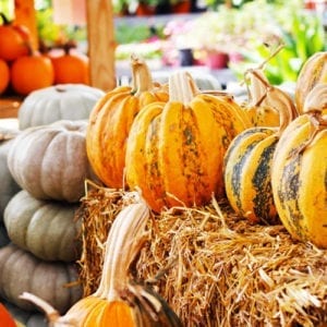 pumpkin decor