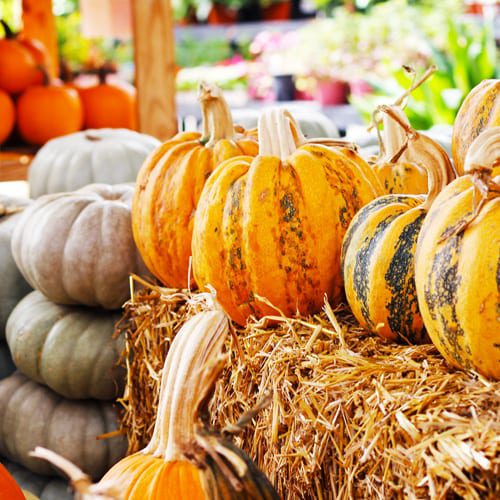 pumpkin decor