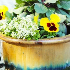 container gardening
