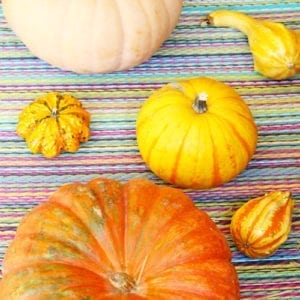 pumpkins