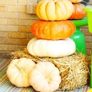 fall display