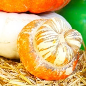 fall decor