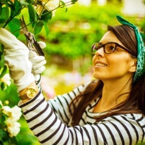 pruning tips