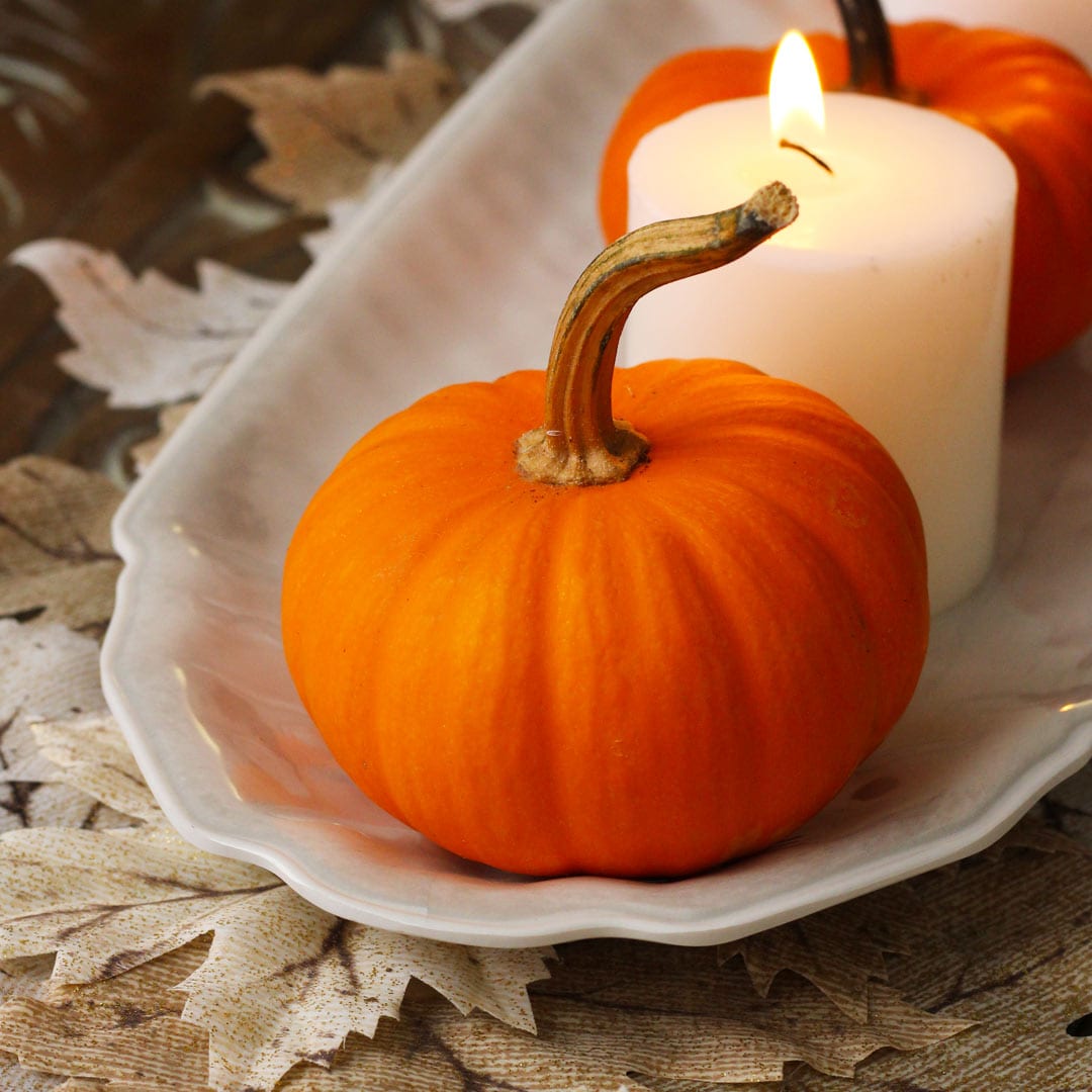 mini orange pumpkins