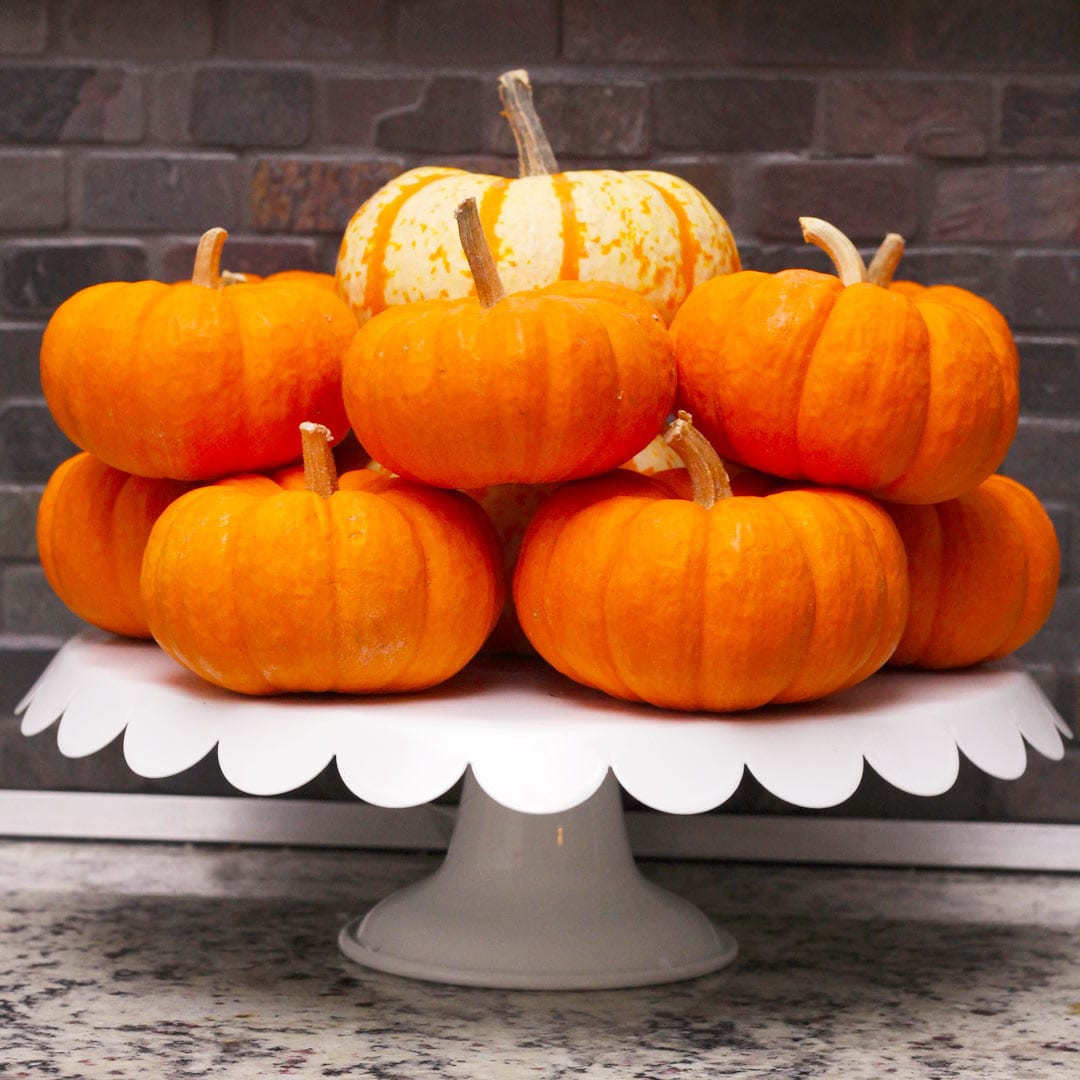 pumpkin decorating tips