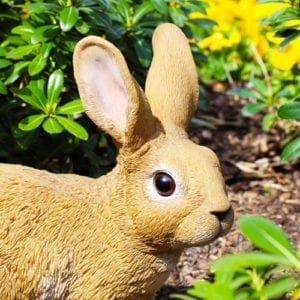 bunny decor