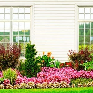 landscape design