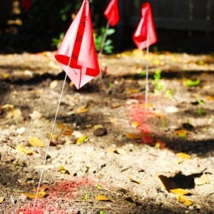 gardening safety