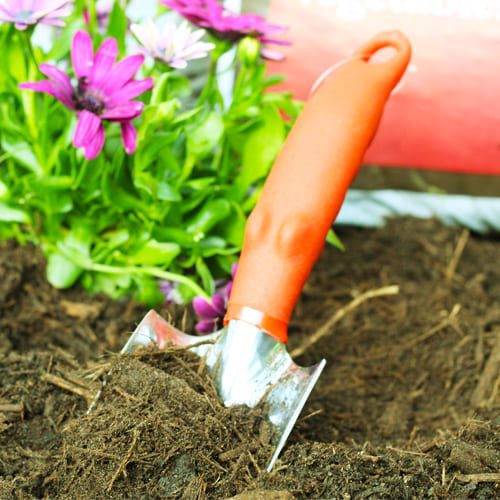gardening