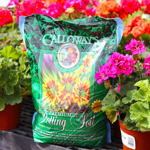 calloway's potting soil