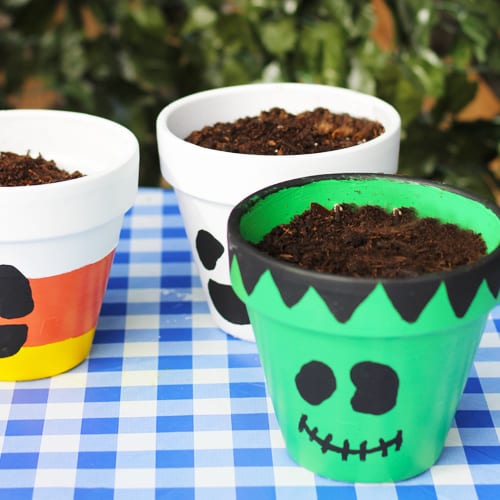 add potting soil to planters