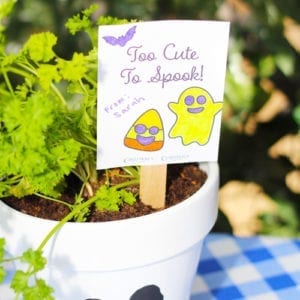 plant tag for halloween