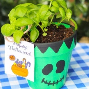 tie tag onto planter