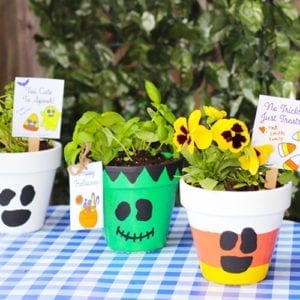 finished halloween planters