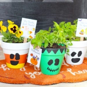 trick or treat ideas for halloween