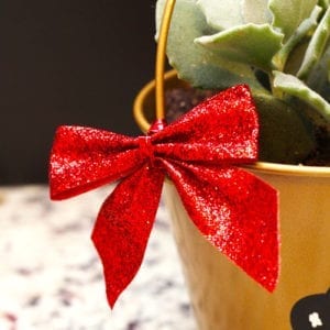 gift ideas