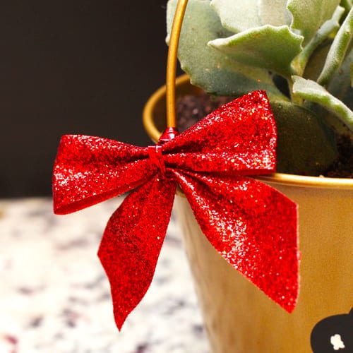 gift ideas