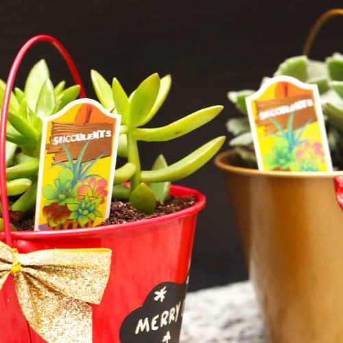 plant tag