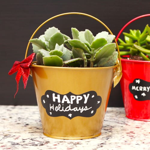 gift ideas