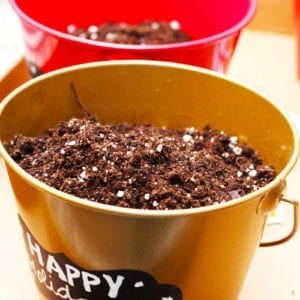 potting soil