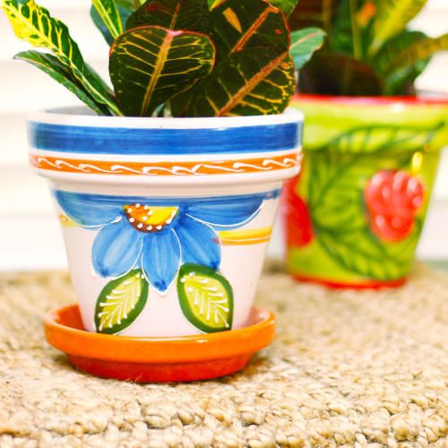 painted pottery for crotons